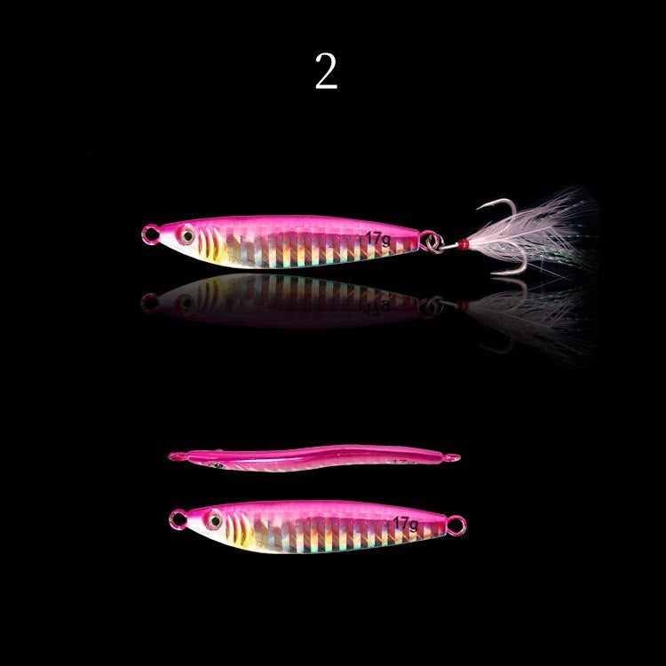 2 pc 25/30/40/60/80g S-shaped Jig fishing lure