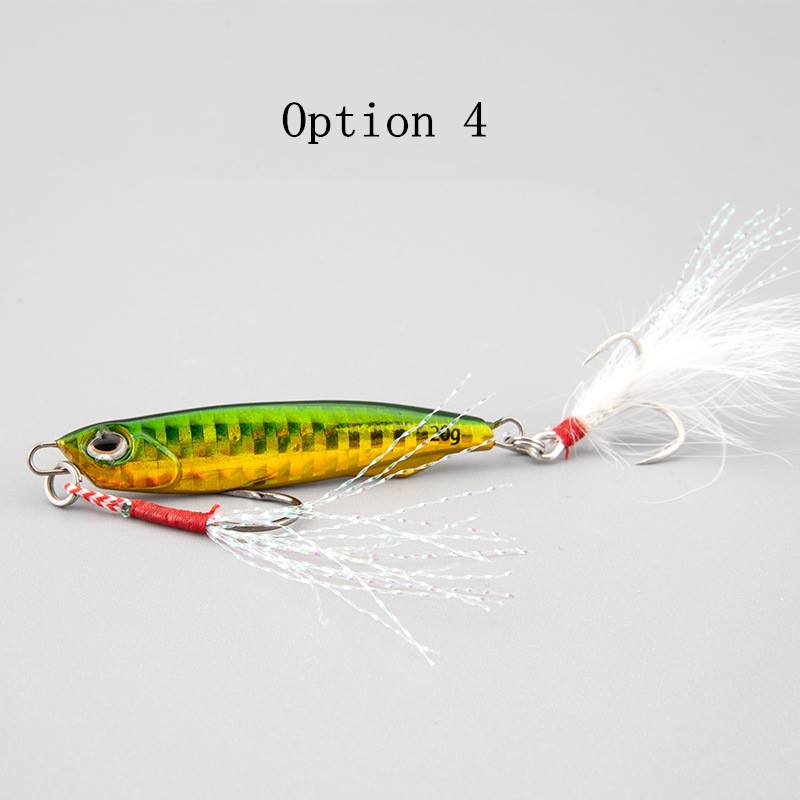 2pcs 10/15/20/25/30/40/60g Jigging lures