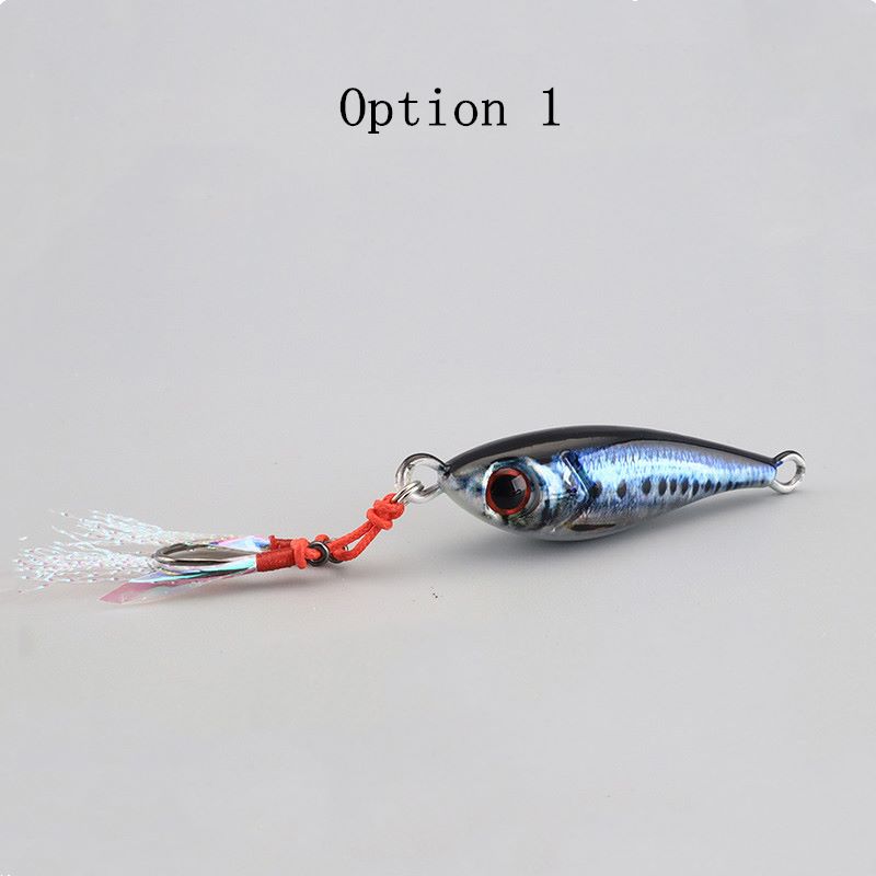 2pcs 10/15/20/30/40/60/80g metal Jig lures