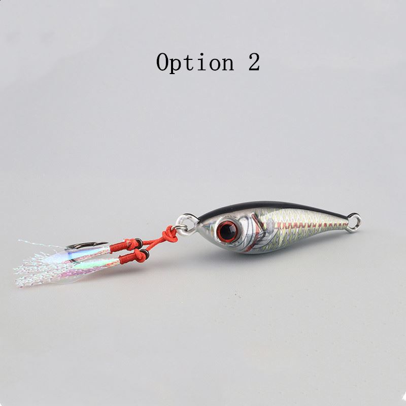 2pcs 10/15/20/30/40/60/80g metal Jig lures