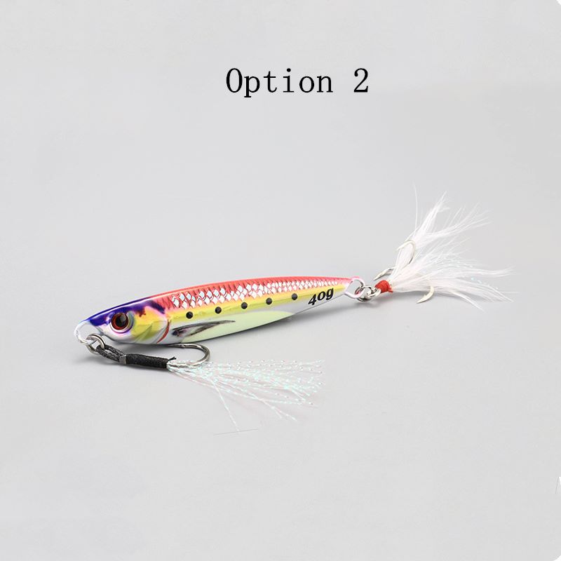 2pcs 20/30/40/60/80g 3D Live Scale Baitfish metal Jig Lures