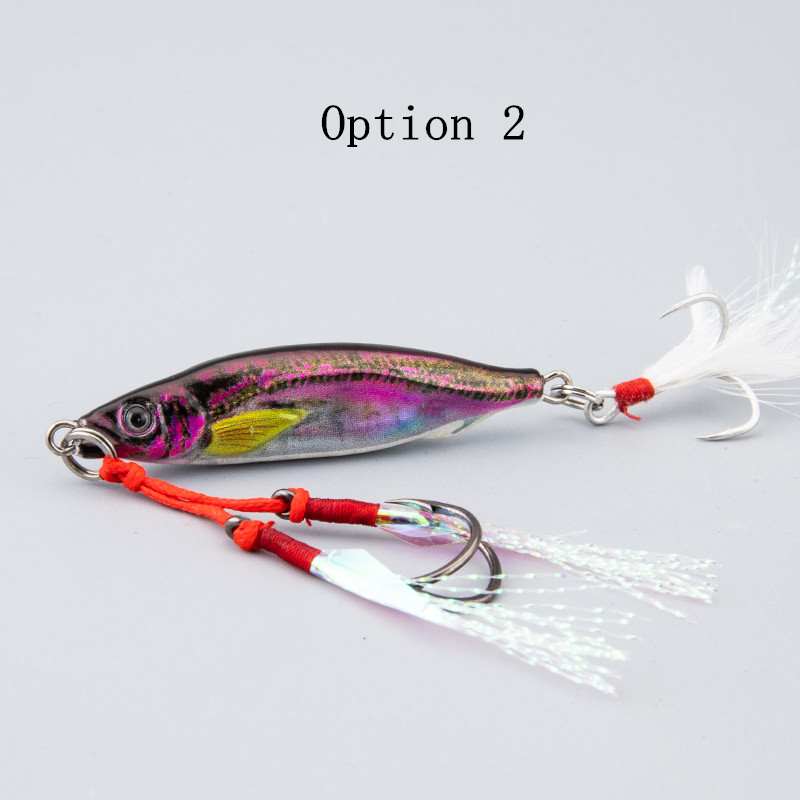 2pc 10/15/20/25/30/40/60/80g 3D printed JIG lure