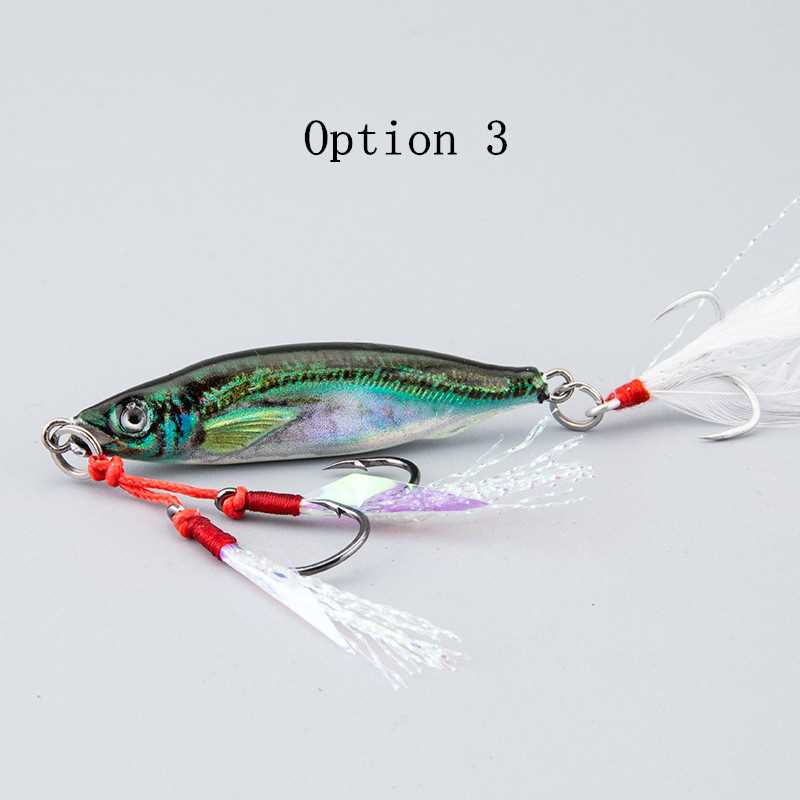 2pc 10/15/20/25/30/40/60/80g 3D printed JIG lure