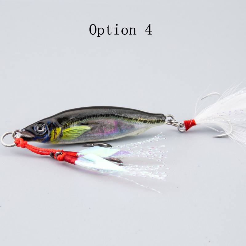 2pc 10/15/20/25/30/40/60/80g 3D printed JIG lure