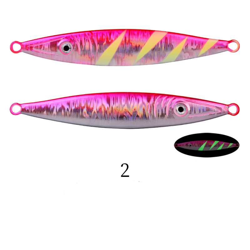 2pc 60/80/100/120/160/200g jig lure