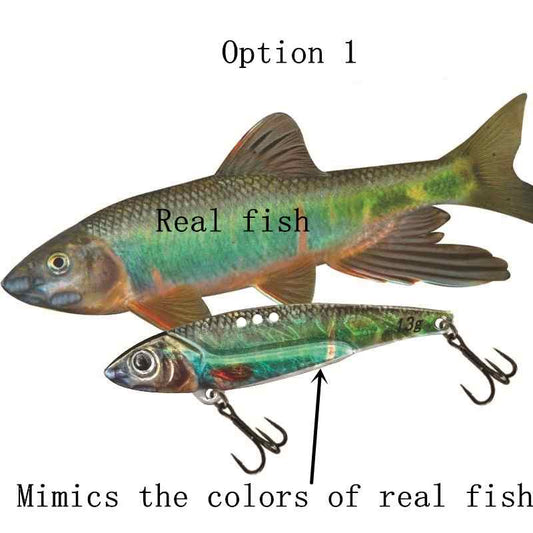 2pc 5/7/10/13/16/20g 3D printed simulated painted vib lure